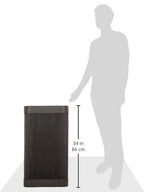 Safco At-Your-Disposal Trash Can, 38 Gallon Modern Plastic Garbage Can for Offices, Break Rooms, Indoor Use, Black