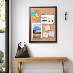 Enclosed Bulletin Board 20x26 Inch Indoor Outdoor Tamper-Proof Cork Wall-Mounted Notice Board with Rust-Resistant Aluminum Frame & Lock for Hospital, Restaurant Kitchen, Office (Black Frame)