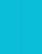 NextDayLabels - 8-1/2 x 11 Neon Color High Light Fluorescent Labels for Laser & Inkjet Printer (Blue Fluorescent, 4-1/4" x 11" - 2 Per Page | 200 Labels)