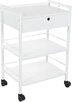 SKINACT Pro Single Drawer Cart Pro Medical Dental Mobile Utility Cabinet & Cart with Steel Frame and One Drawer