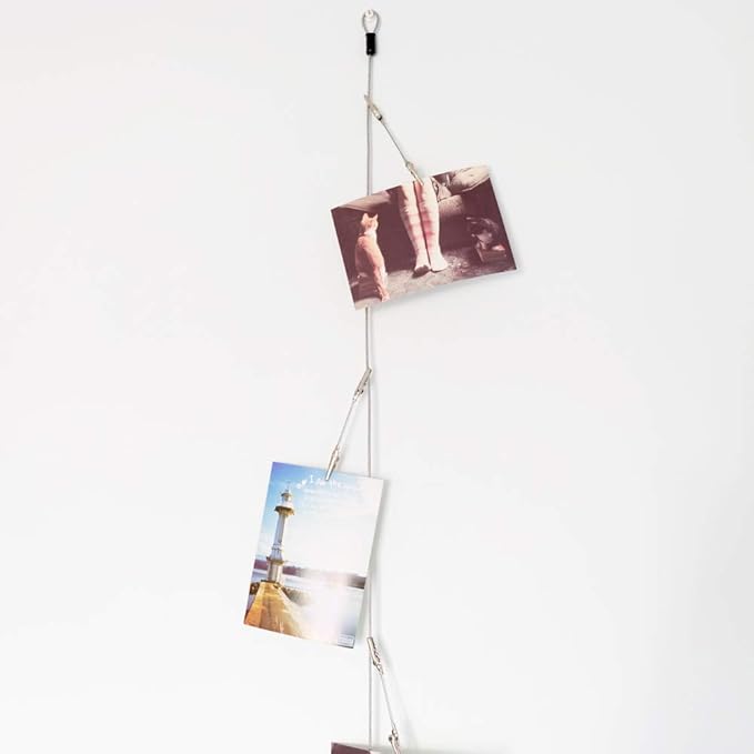 TFu Wall Hanging Photo Display, DIY Picture Photo Frame String with 12 Clips for Hanging Photos Notes and Artworks (Adjustable Alligatory Clip)