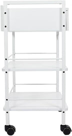 SKINACT Pro Single Drawer Cart Pro Medical Dental Mobile Utility Cabinet & Cart with Steel Frame and One Drawer