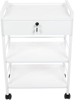 SKINACT Pro Single Drawer Cart Pro Medical Dental Mobile Utility Cabinet & Cart with Steel Frame and One Drawer