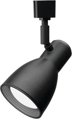 Lithonia Lighting LTHNSTBF BR20 DBL M2 Baffle Head Track Lighting, Black