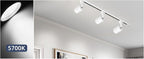 10W LED White Track Lighting Heads, H Type Track Lighting Rail Ceiling Spotlight for Accent Task Wall Art Exhibition Lighting, and Wall Art Display Illumination 3000K-5700K, CRI90+ (6-Pack