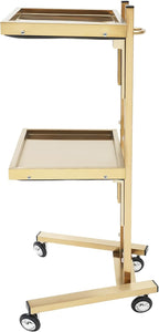 Salon Tray Cart on Wheels, Aluminum Tattoo Tray with Storage Platform, Service Rolling Tray,2-Tier Tray Equipment Service Instrument Storage Tray Accessory for Salon & Spa Use, Black