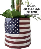 Deluxe 78" Golden Cane Palm Artificial Tree + Premium Fiddle Leaf Foliage in 8" Base + 12" Plant Pot Skirt + Bonus USA Flag Style Pot Pant
