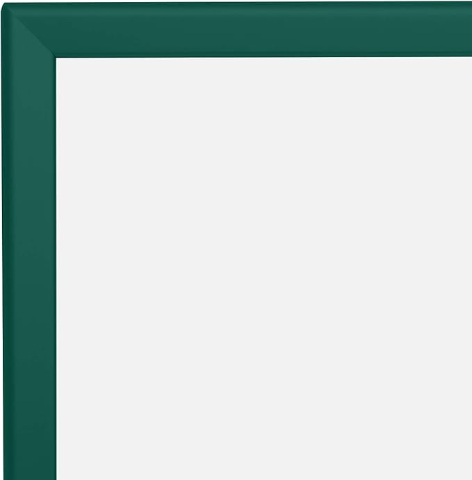 SnapeZo Poster Frame 20x30, Green, 1.25 Inch Aluminum Profile, Front-Loading Snap Frame, Wall Mounting, Professional Series