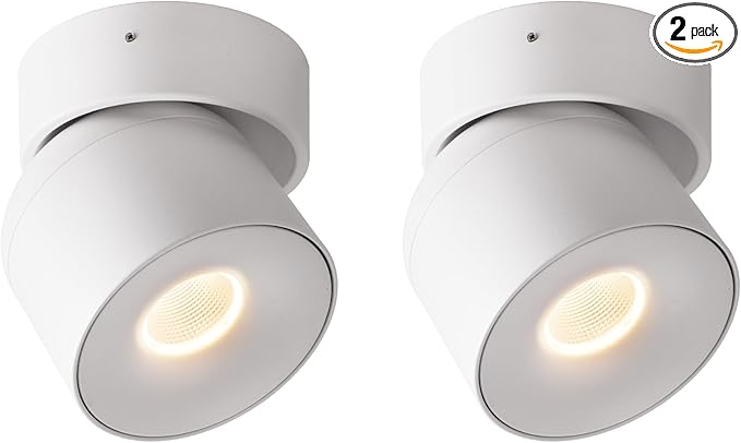 Aisilan Dimmable Ceiling Spotlight 2 Pack, Modern LED Wired Spotlight Indoor,15W Spot Light 350° Directional Lighting, Wall Spot Lights for Picture Panting Living Room Bedroom, 3000K CRI 97, White