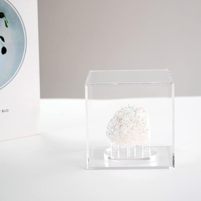 3 Pegs Round Display Easel Stands with Transparent Acrylic Box, Multiple Decoration Storage Case, Small Items Stands for Displaying Collectible Stone Rock Mineral Geodes (Medium-4x4x4in, 1Pcs)