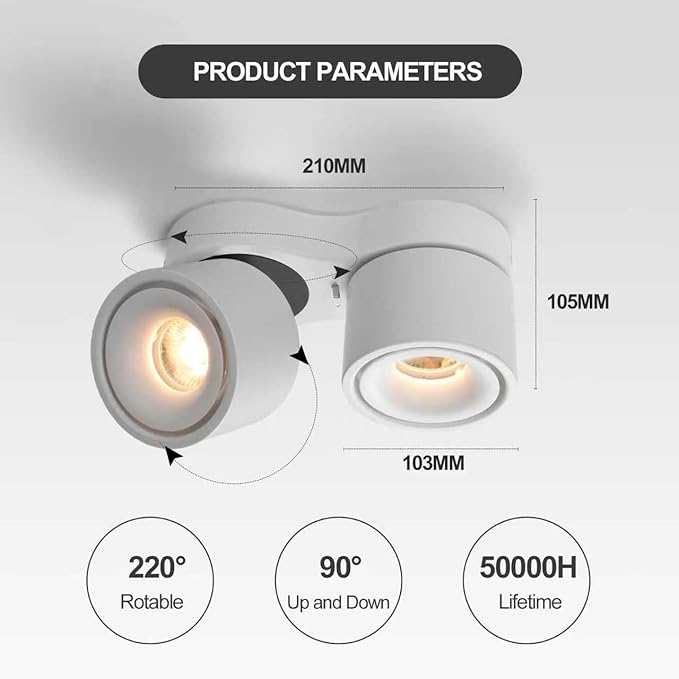 Spot Lights Indoor, Modern Art Display Accent Lights 3000-6000K Selectable, 20W Dual Head LED Spot Lights, CRI 98, 220° Directional, White Ceiling Spotlight for Kitchen, Plant, Living Room