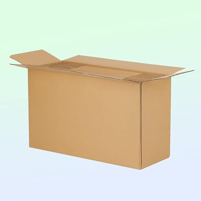 MEBRUDY 12x9x2 Inches Shipping Boxes Pack of 25, Small Corrugated Cardboard Box for Mailing Packing Literature Mailer