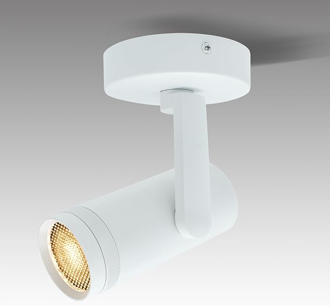 15W LED Dimmable and Zoomable Ceiling Spotlight with Anti-Glare Honeycomb Mesh | Adjustable Spot Light for Living Room, Gallery | 10°-55° Zoom，10%-100% Dim，3000K, CRI 98, Flicker-Free, White