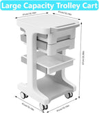 Professional 3-Tier 2-Drawer Salon Trolley Cart with Wheels Utility Cart with Drawers Mobile Storage Cart, Max 50kg/110lb Load, 16.14 * 16.14 * 26.38in (Grey)