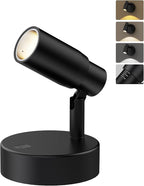 PESUTEN Spot Lights Indoor, Rechargeable Picture Light with Remote, Dimmable CCT Spotlight for Wall Art, Battery Uplights Indoor with Timer for Plant Artwork Painting Sofa Corner 1PC