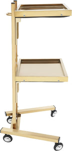 Salon Tray Cart on Wheels, Aluminum Tattoo Tray with Storage Platform, Service Rolling Tray,2-Tier Tray Equipment Service Instrument Storage Tray Accessory for Salon & Spa Use, Black