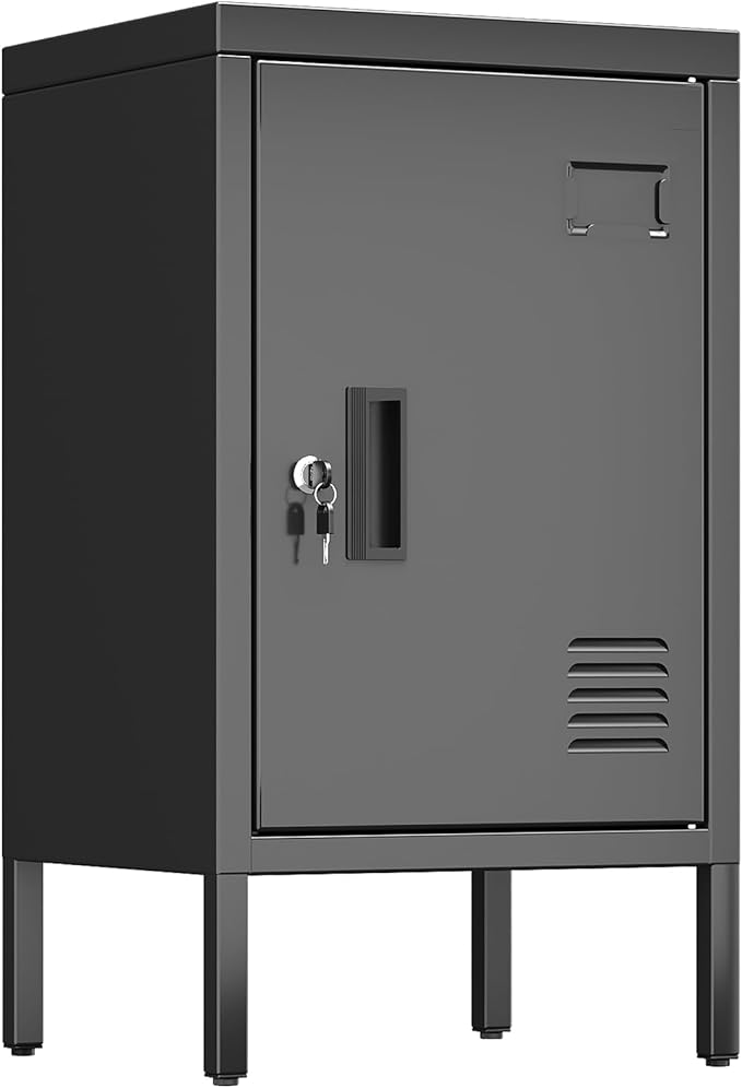 Aobabo 24.4" H Metal Locker Storage Cabinet with 1 Doors, Pantry Storage Cabinet with Adjustable Leveling Foot and Adjustable Shelves, for Kitchen, Employees, Office, Home, Assembly Required, Black