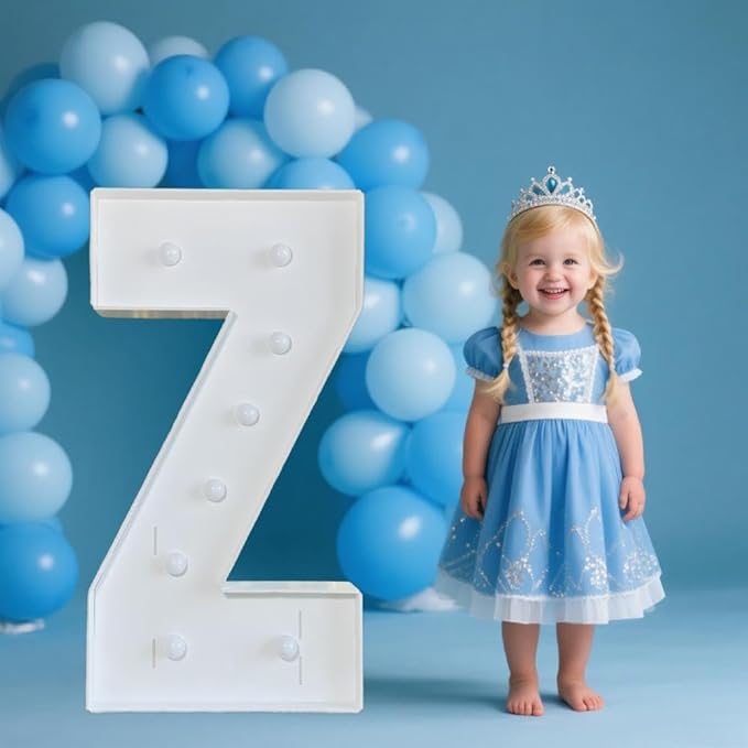 PRELIFE MEMORY 3FT/36 Inch Light Up Marquee Letter A-Z, White Frame KT Board Plug-in KT Board with Bracket White LED Party Decorative Light Decoration for Birthday Party Anniversary (Z)