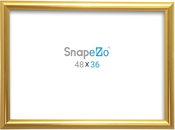 SnapeZo Gold Effect 36x48 Poster Frame, Front-Loading, Wall Mount, Aluminum 1.25" Profile, Professional Series