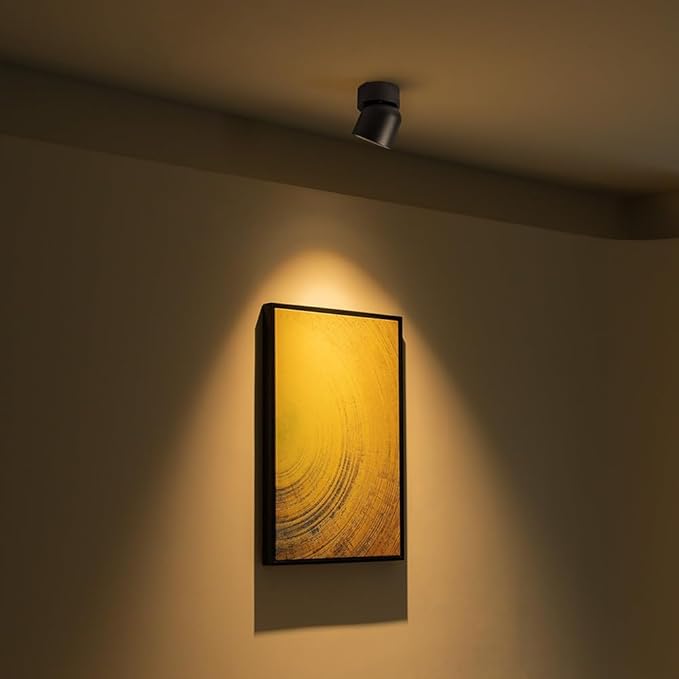 Aisilan 4 Packs LED Dimmable Adjustable Ceiling Spotlight 7W 3000K Aluminum Wired Spotlight Fixtures CRI 97 Surface Mounted Indoor Spot Light for Living Room Hallway Picture Corridor (Black)