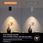Aisilan LED Ceiling Spot Light Indoor Dimmable 2 Pack, 7W Black Directional Accent Light, Adjustable Modern Spotlight Flush Mount, Warm White CRI 97, for Living Room Bedroom