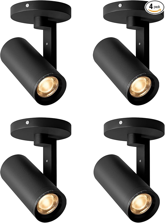 Aisilan 4 Pack Black LED Zoomable Ceiling Spotlight 12W Dimmable Adjustable Beam Angle 10-55° Swivelable Angle CRI 97 Matt Aluminum Directional Accent Lamp for Corridor Mural Living Room, Warm White