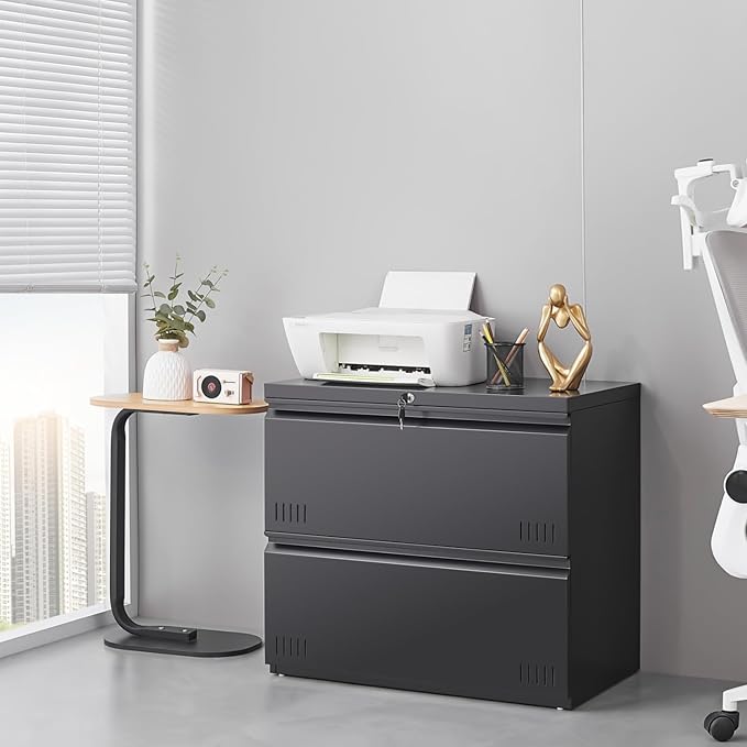 2 Drawer File Cabinet, File Cabinets for Home Office, Printer Stand, File Cabinet with Lock, Lateral Filing Cabinet for A4/Letter/Legal Size File Folders, Assembly Required(Black)