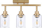 3-Light Gold Tracking Lights, Multi-Directional Rotating Ceiling Tracking Lighting Fixture with Clear Glass, Modern Bathroom Ceiling Vanity Lights Track Lighting Kits for Kitchen Accent Shop