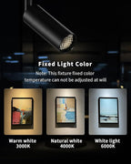 LED Zoomable Ceiling Spotlight 7W Adjustable Beam Angle 6-50° Swivelable Angle CRI 97 Black Aluminum Accent Lamp for Corridor Mural Living Room - COB Chip