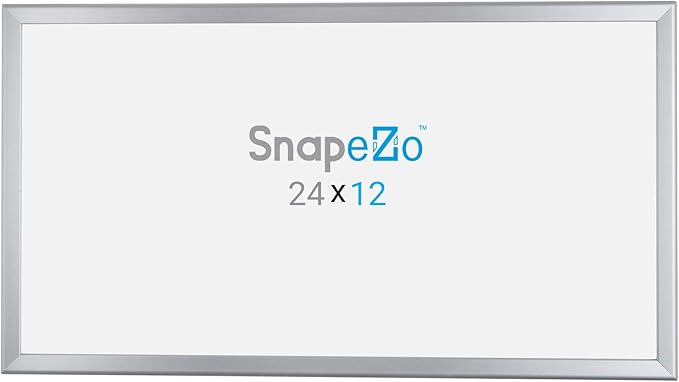 SnapeZo Photo Frame 12x24, Silver, 1.25 Inch Aluminum Profile, Front-Loading Snap Frame, Wall Mounting, Professional Series
