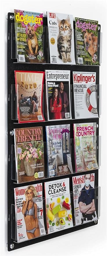 Displays2go Wall Pamphlet Display, Acrylic, 12/24 Adjustable Slots, Aluminum Standoffs - Black (2RP12BLK)