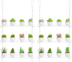 Clear Hanging Window Plant Shelves,2-Pack 3-Tier,Indoor Windows Wall Hanging Plant Stand Flower Display,Flower Pot Organizer Storage for Window Grow Herbs,Microgreens,Succulents,Flower,16-Inch