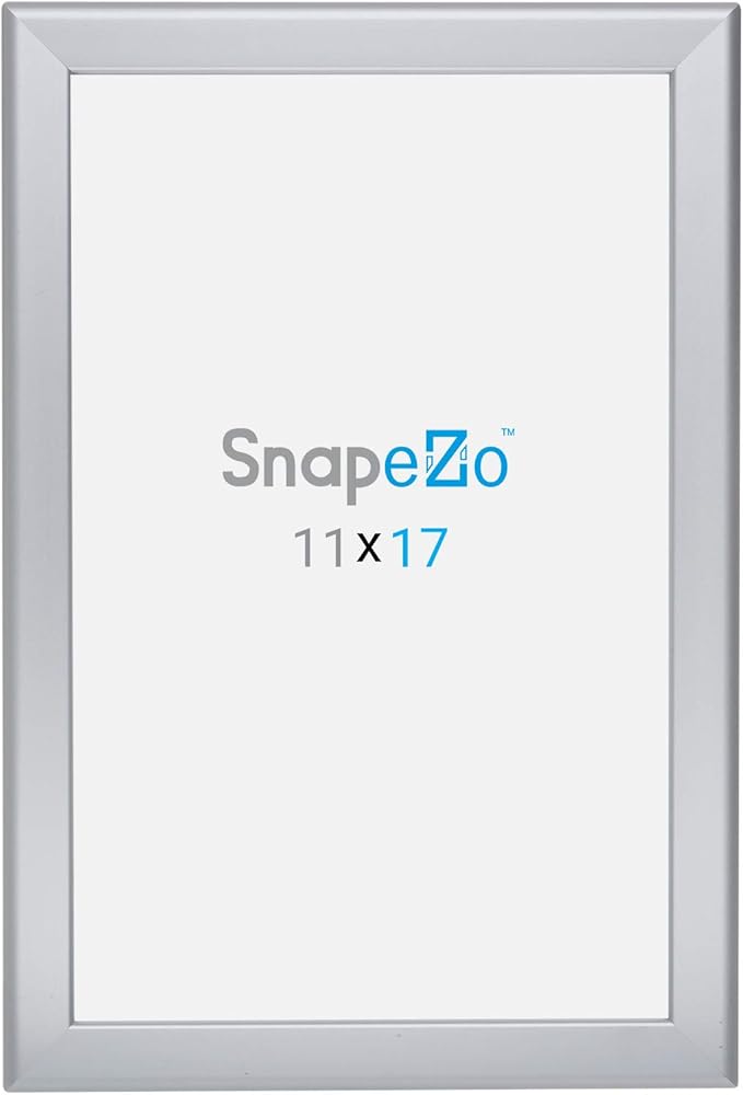 SnapeZo Photo Frame 11x17, Silver, 1.25 Inch Aluminum Profile, Front-Loading Snap Frame, Wall Mounting, Professional Series