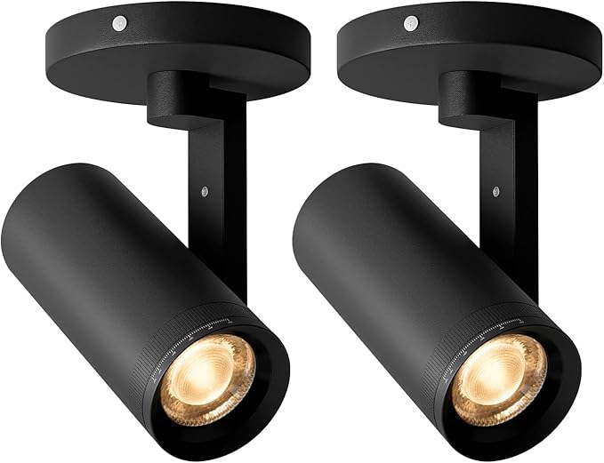 Aisilan Adjustable Dimmable Beam Angle 10-55° Zoomable Spotlight Indoor, 12W White LED CRI 97 Ceiling Spotlight Fixture, 2 Pack 3000K Modern Accent Lighting for Hallway, Living Room, Mural