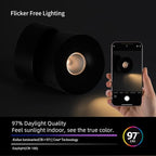 Aisilan Ceiling Spot Lights Indoor, 15W Modern LED Spotlight 350° Directional Accent Lighting, Dimmabel Spotlight Fixtures for Picture Panting Living Room Bedroom Mural,3000K, CRI 97, Black