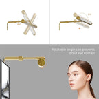 4W Picture Light Plug in, 12" Adjustable LED Art Light with Remote Control, Dimmable Wall Light for Picture Display Dartboard Art Work (Gold)