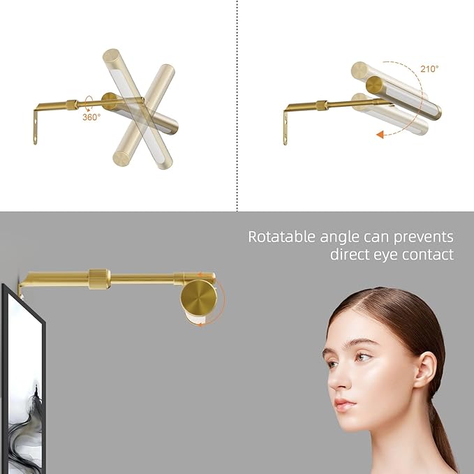 4W Picture Light Plug in, 12" Adjustable LED Art Light with Remote Control, Dimmable Wall Light for Picture Display Dartboard Art Work (Gold)