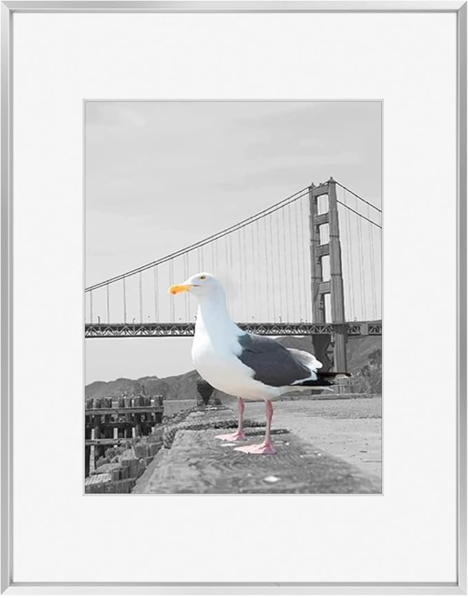 Frametory, 16x20 Metal Picture Frame with Mat for 11x14 Picture & Real Glass, Aluminum Photo Frame Collection (Silver, 1 Pack)