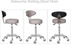 Kaleurrier Swivel Stool Chair Adjustable Height,Heavy Duty Hydraulic Rolling Metal Stool for Kitchen,Salon,Bar,Office,Massage (with Back Rest) (Grey)
