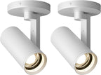 Aisilan Adjustable Dimmable Beam Angle 10-55° Zoomable Spotlight Indoor, 12W Black LED CRI 97 Ceiling Spotlight Fixture, 2 Pack 3000K Modern Wired Accent Lighting for Artwork, Living Room, Mural