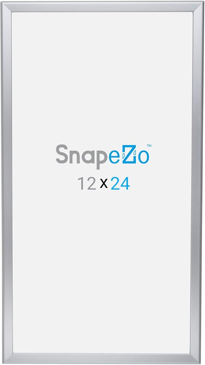 SnapeZo Photo Frame 12x24, Silver, 1.25 Inch Aluminum Profile, Front-Loading Snap Frame, Wall Mounting, Professional Series