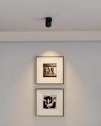 Aisilan Ceiling Spotlight Fixtures, Modern LED Spotlight Indoor, 9W Accent Spot Light with 360°Rotatable, Directional Spot Lights for Living Room Bedroom Painting Artwork, 3000K CRI 97+