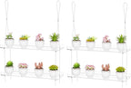 2-Pack Clear Hanging Window Plant Shelves, 2-Tier Indoor Wall Plant Stand Flower Display Organizer Storage for Microgreens,Succulents,Flower,16-Inch