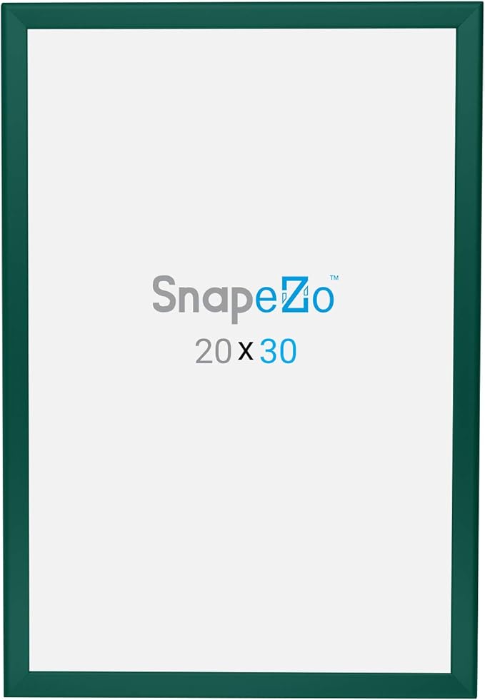 SnapeZo Poster Frame 20x30, Green, 1.25 Inch Aluminum Profile, Front-Loading Snap Frame, Wall Mounting, Professional Series
