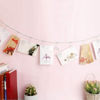 TFu Multi-Purpose Steel Wall Hanging Photo Display Cable Wire Rod String with 12 Clips for Hanging Photos Notes and Artworks (Heart Shape Clip)