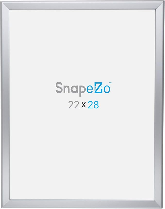 SnapeZo Poster Frame 22x28, Silver, 1.25 Inch Aluminum Profile, Front-Loading Snap Frame, Wall Mounting, Professional Series