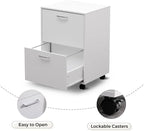 QDSSDECO 2 Drawer Mobile File Cabinet, Rolling Vertical Filing Cabinet fits A4, Legal Paper and Letter Paper for Home Office, White