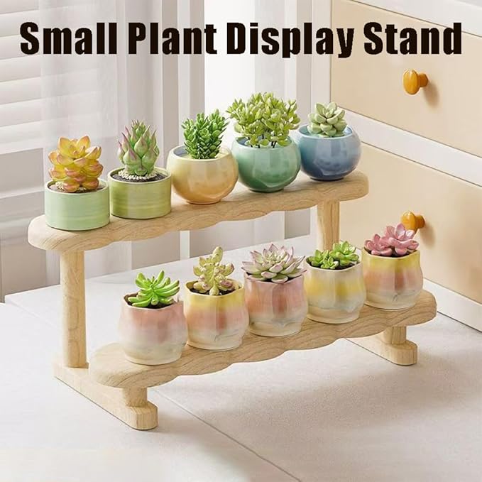 Double Deck Wooden Display Riser Stand, Minifigures Doll Model Organizer Stand,Small Plant Perfume Jewelry Storage Rack for Desktop Window Sill Bar