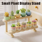 Double Deck Wooden Display Riser Stand, Minifigures Doll Model Organizer Stand,Small Plant Perfume Jewelry Storage Rack for Desktop Window Sill Bar
