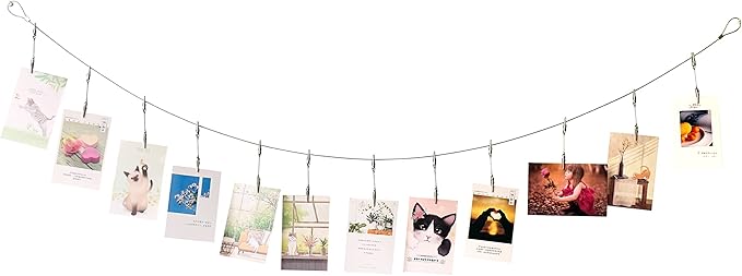 TFu Wall Hanging Photo Display, DIY Picture Photo Frame String with 12 Clips for Hanging Photos Notes and Artworks (Adjustable Alligatory Clip)